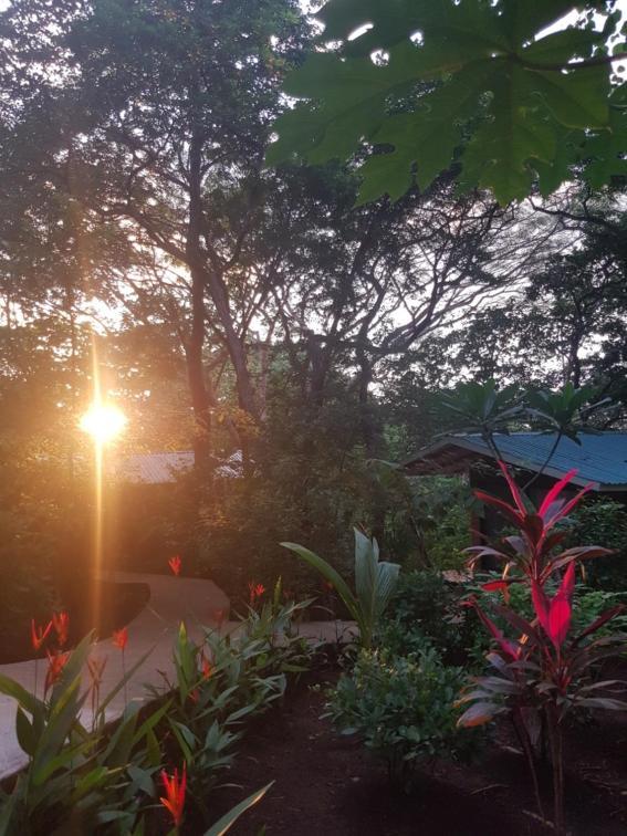 Baliyana Lodge San José Pinilla Zewnętrze zdjęcie